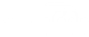 Xameleon Theatre Productions logotype Xameleon Theatre Productions logotype